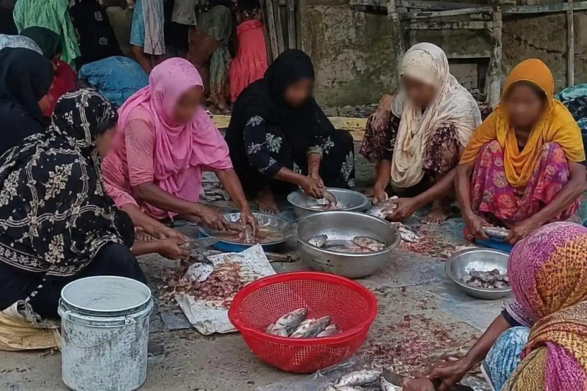 Pregnant Rohingya Women Reportedly Forced to Clean Fish in Buthidaung – Rohingya Khobor