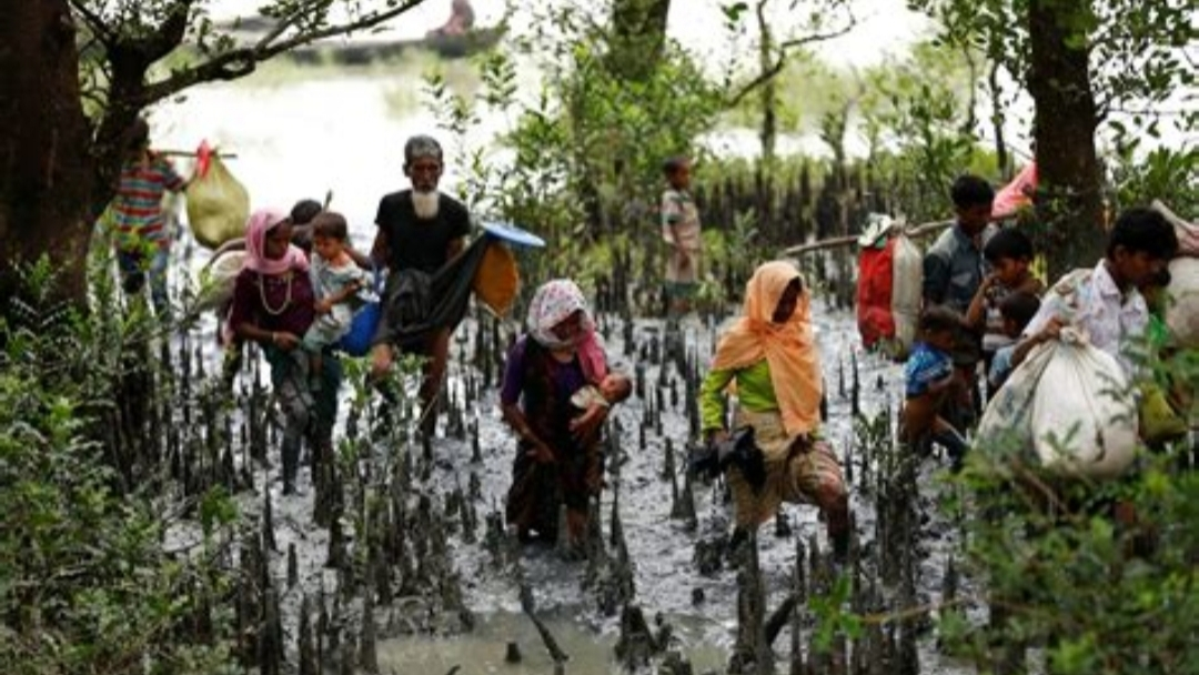 16 Rohingya Detained by AA After Being Sent Back by BGB – Rohingya Khobor