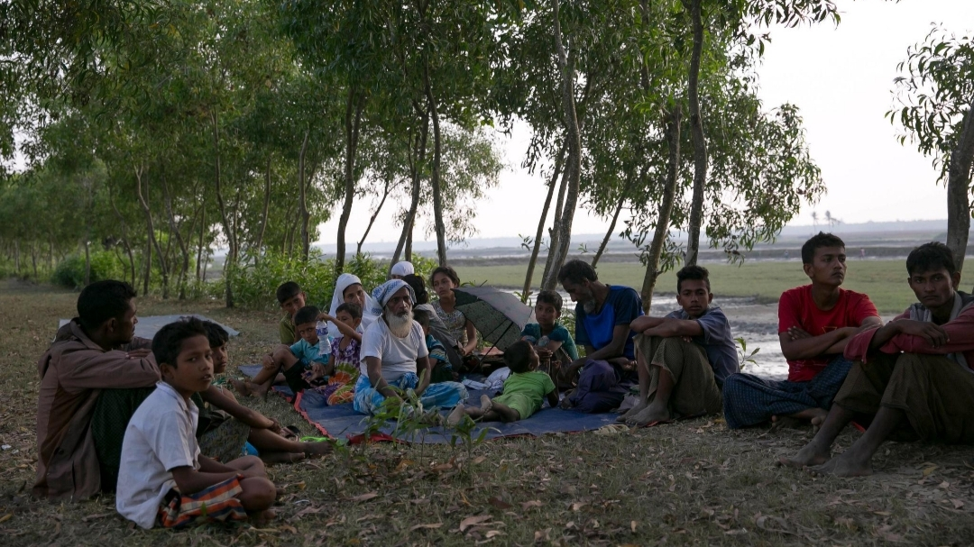 Rohingya in Arakan Face Growing Struggles as Displacement and Uncertainty Continue – Rohingya Khobor