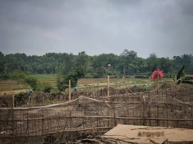 Rohingya Residents Allege Land Extortion and Abuse of Power by Village Administrators in Northern Maungdaw – Rohingya Khobor