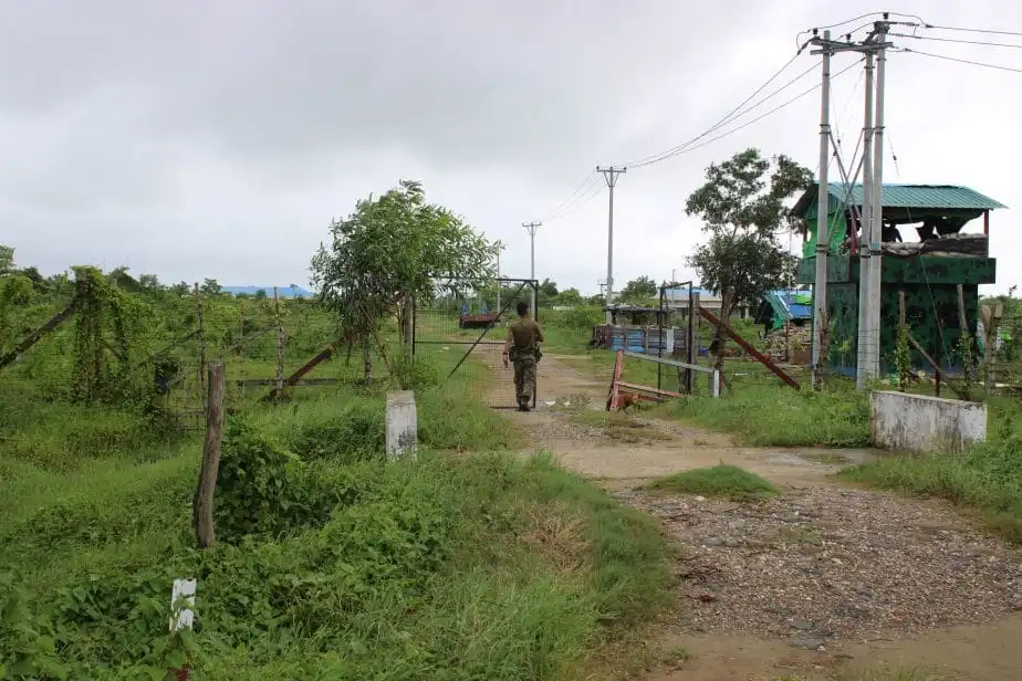 AA Reportedly Cuts Rohingya-Owned Trees and Bamboo to Build Military Base in Maungdaw – Rohingya Khobor